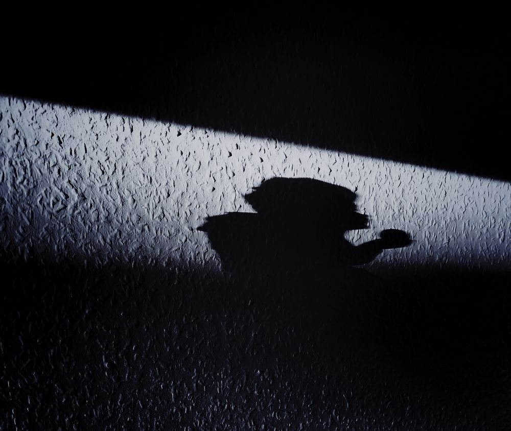 Photograph by Swetlana Lebedev