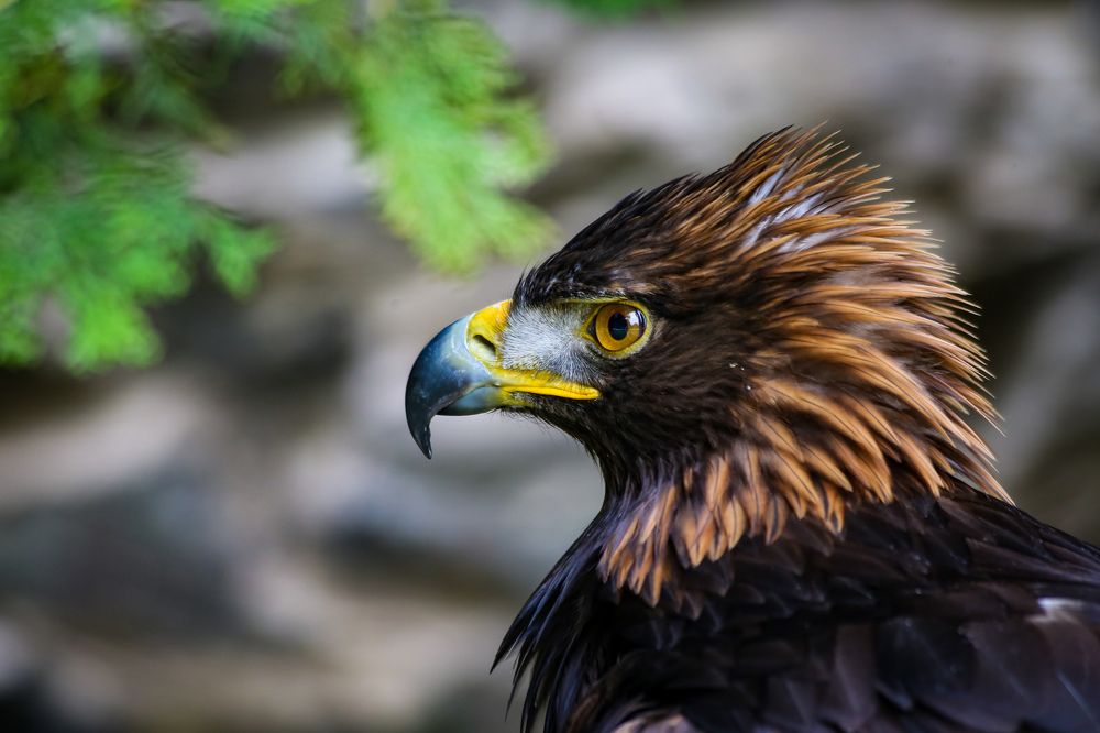 Фотография автора Andrej Levius