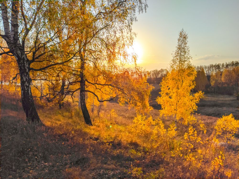 Photograph by Светлана Кондрашова