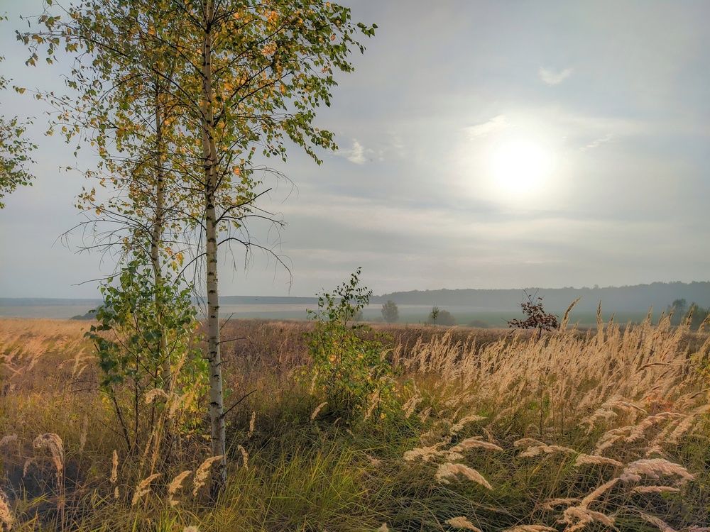 Photograph by Светлана Кондрашова