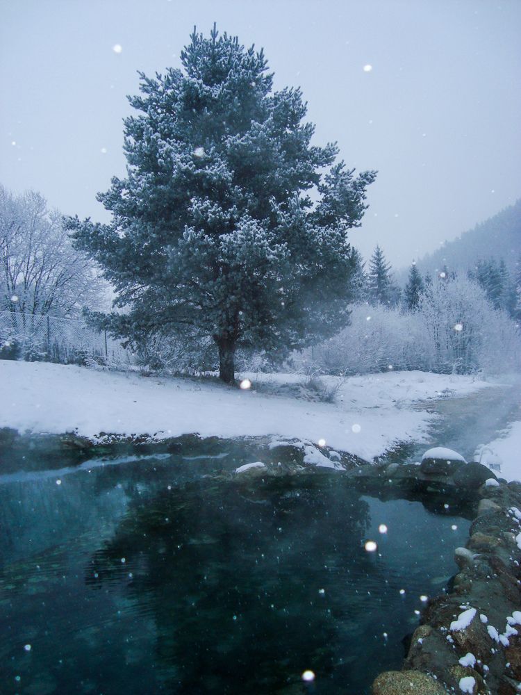 Фотография автора Andrej Levius