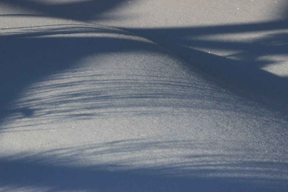 Photograph by ТатьЯна СтруСь