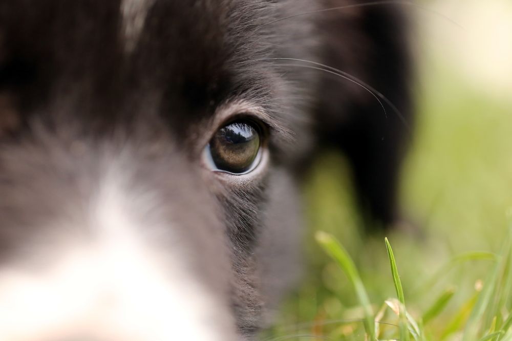 Фотография автора Andrej Levius