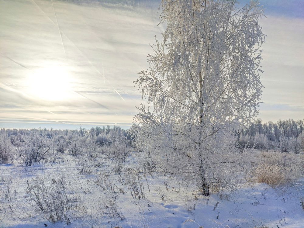 Photograph by Светлана Кондрашова