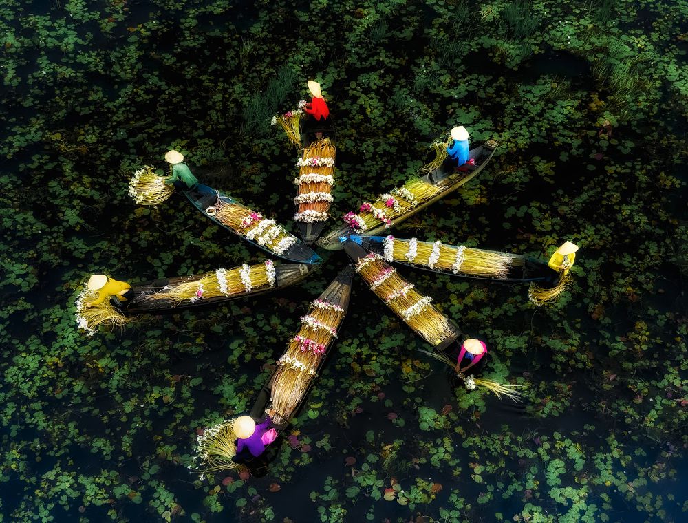 Photograph by Lê Huy Anh