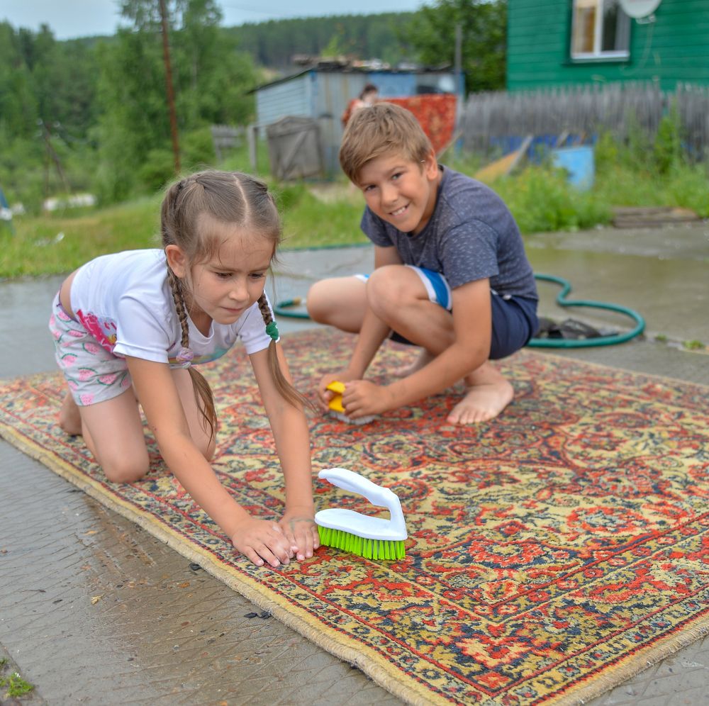 Летние каникулы в деревне
