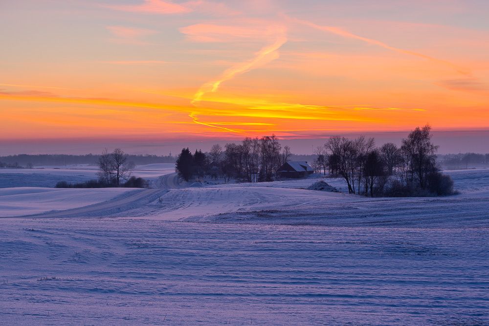 Photograph by Eriks Zilbalodis