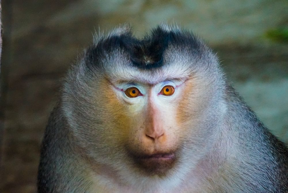 Photograph by Виктор Сёмушкин