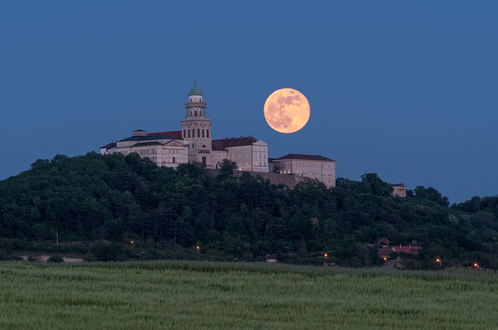 Photograph by Csapó Gábor