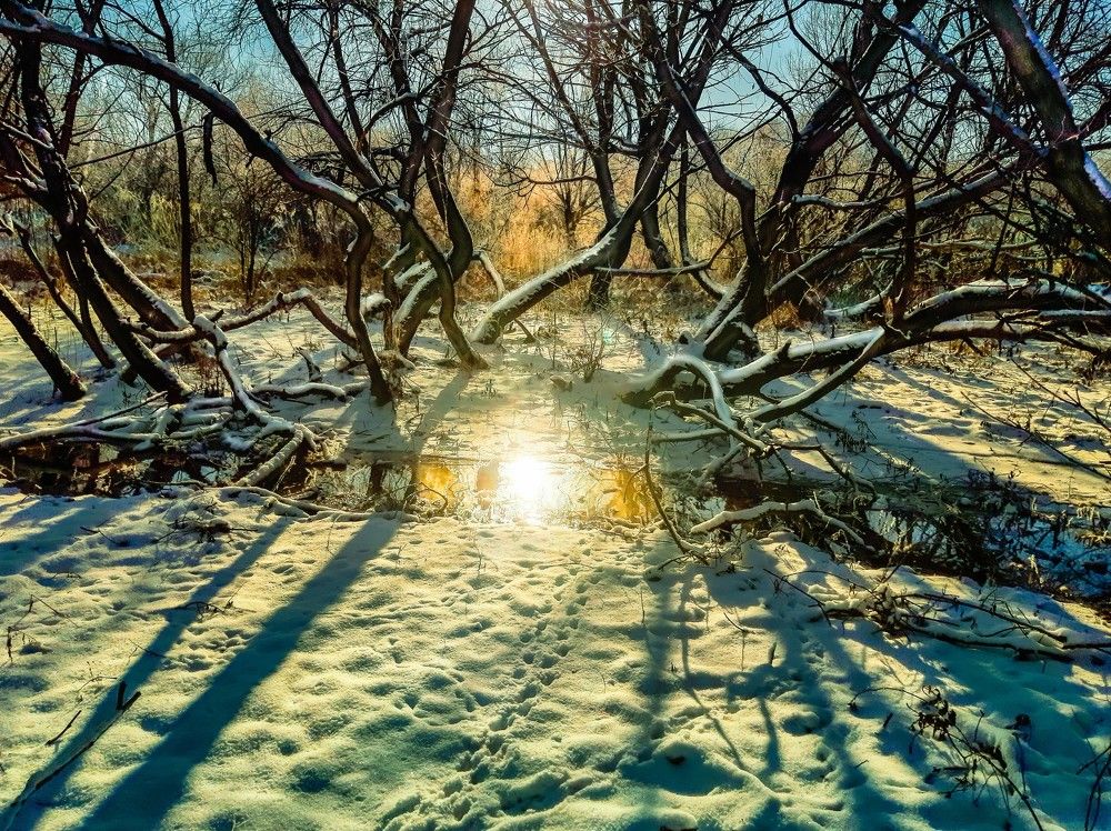 Photograph by Леонид Борисенко