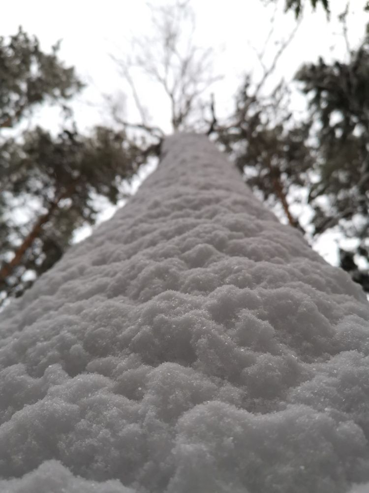 Photograph by Александр Полозов