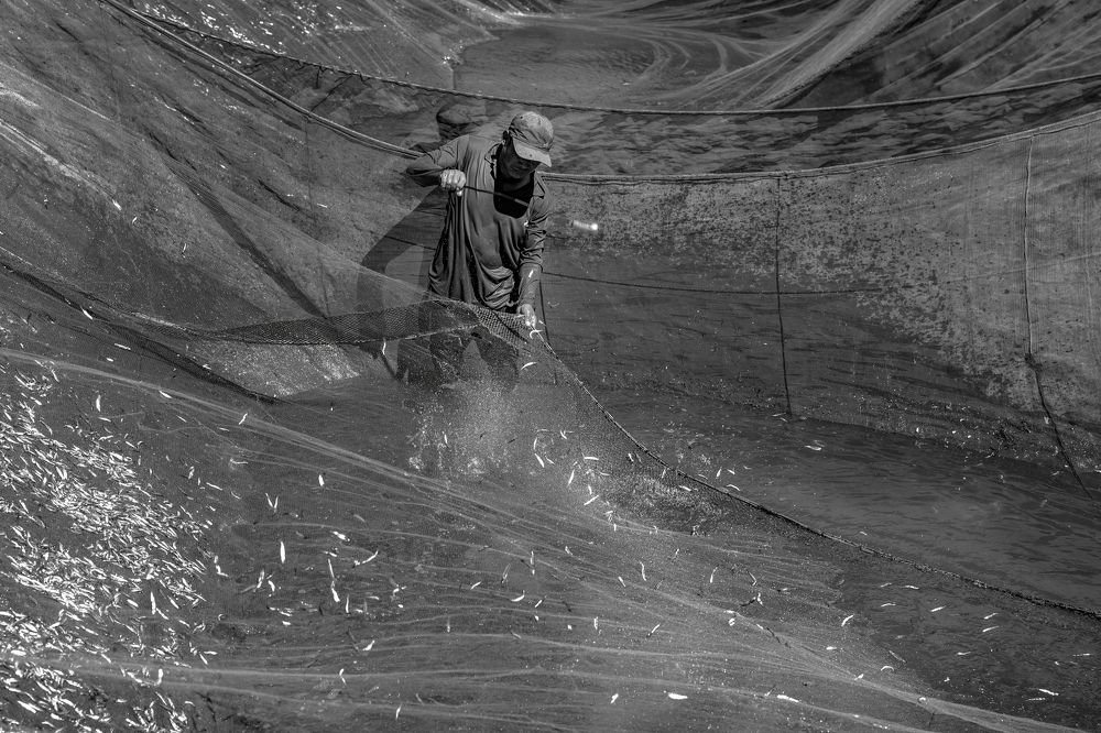 Фотография автора Dang Le