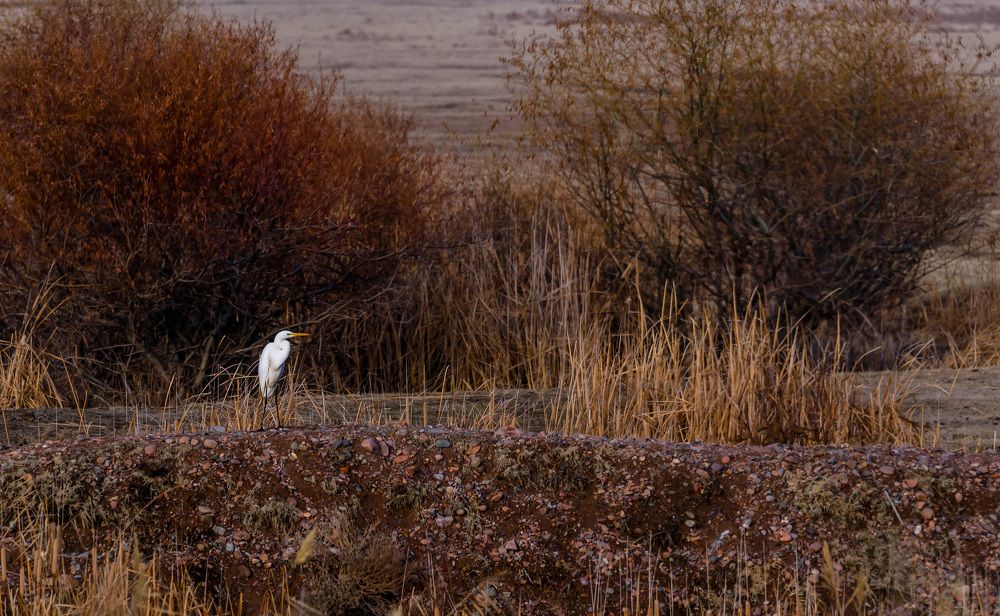 Photograph by Рузаев Дмитрий