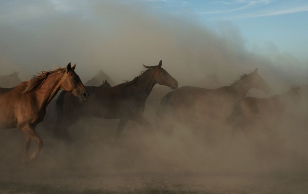 Photograph by виктор ястребов