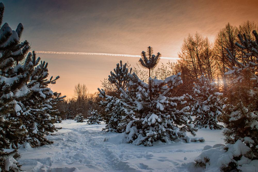 Photograph by Виктор Смирнов