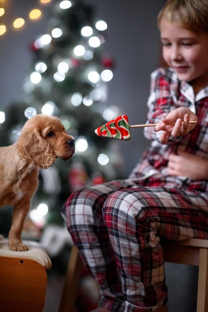 Photograph by Анастасия Шендрикова