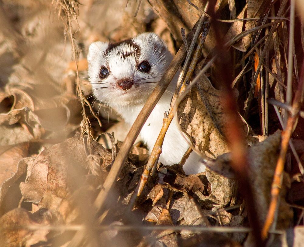 Photograph by Александр