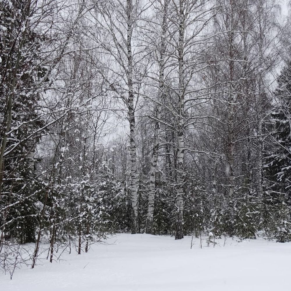 Photograph by Сергей Александрович