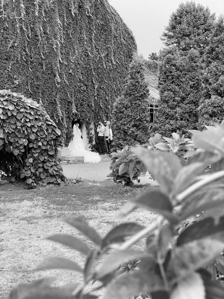 Photograph by Михаил Дмитренко