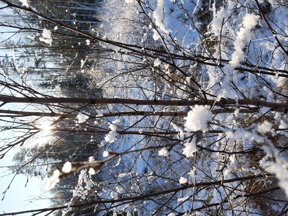 Photograph by Сергей Александрович