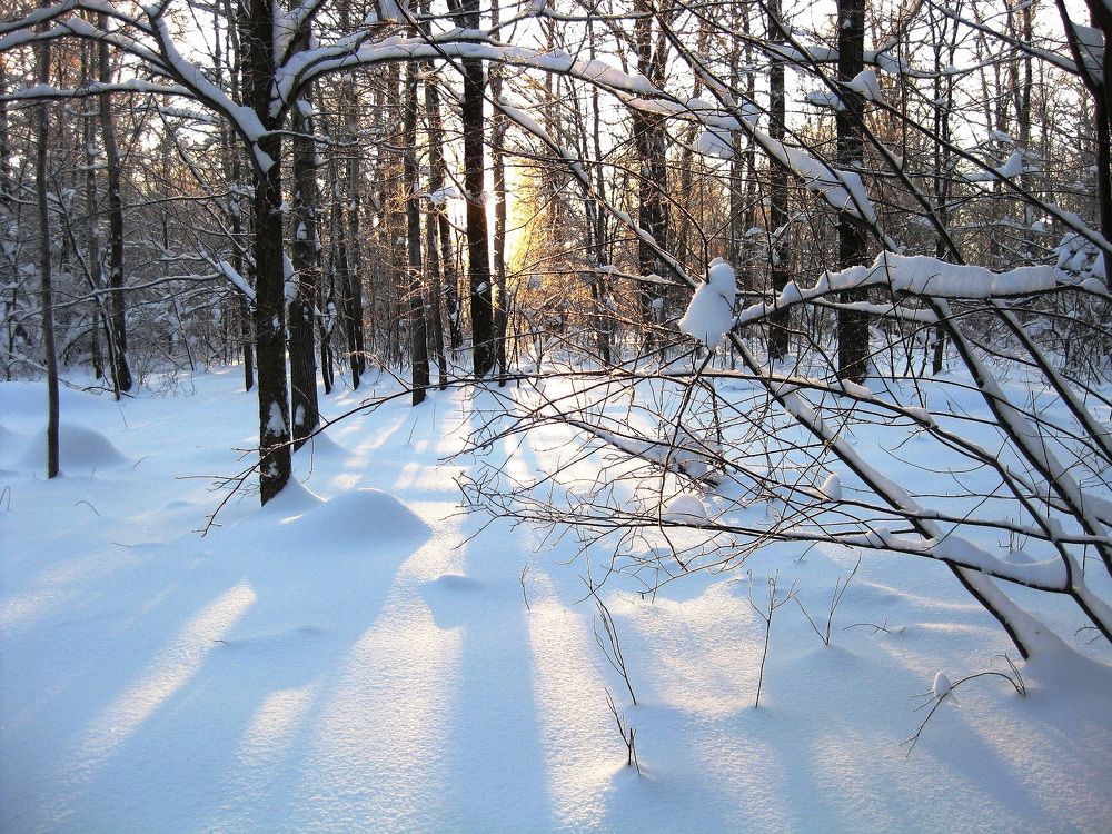 Безмолвие