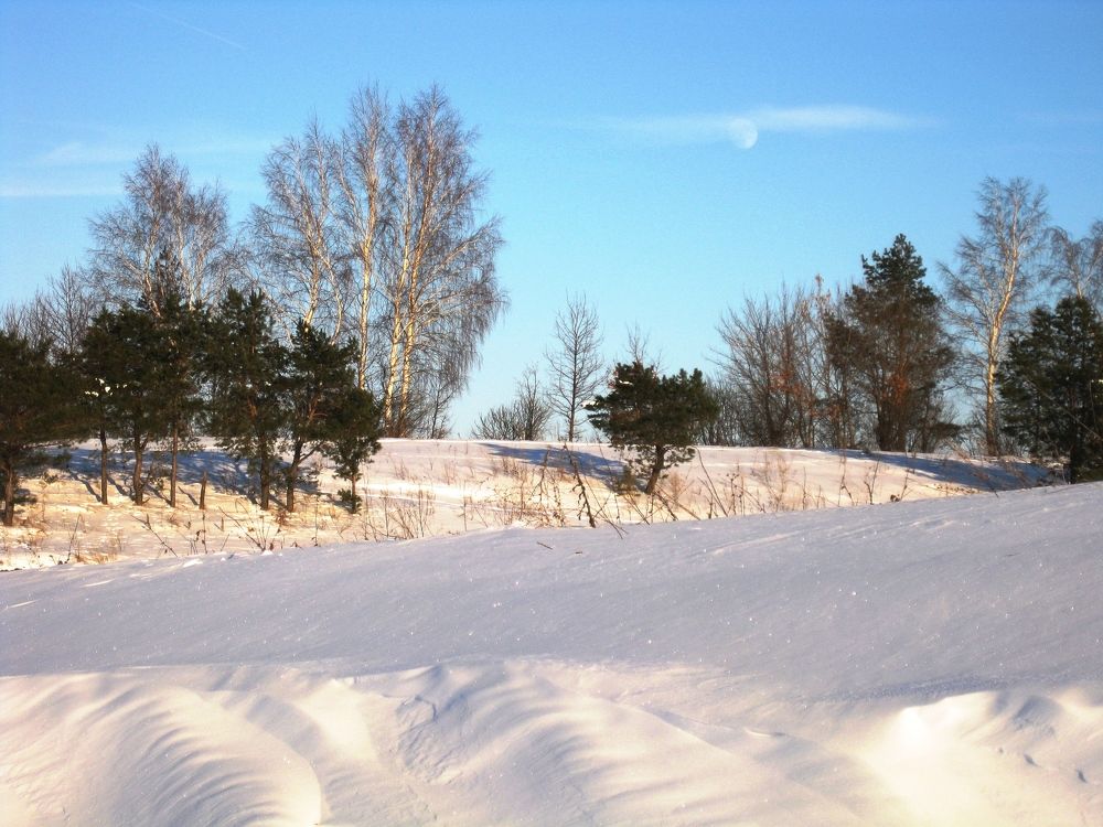 Photo #5662833