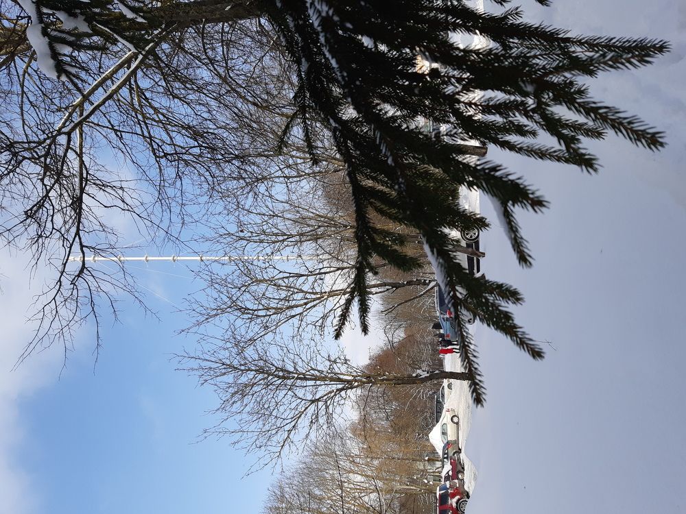 Photograph by Галина Турышева