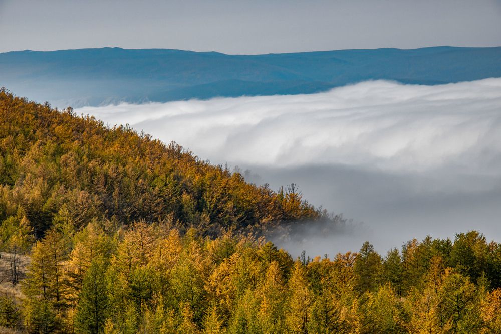 Photograph by Юрий Борик