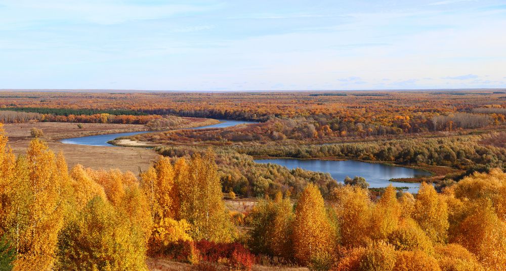 Сурские дали