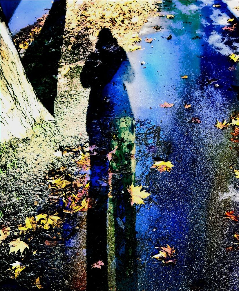 Фотография автора Meenakshi Ghosh