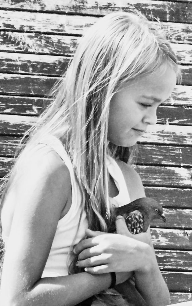 Photograph by Владимир