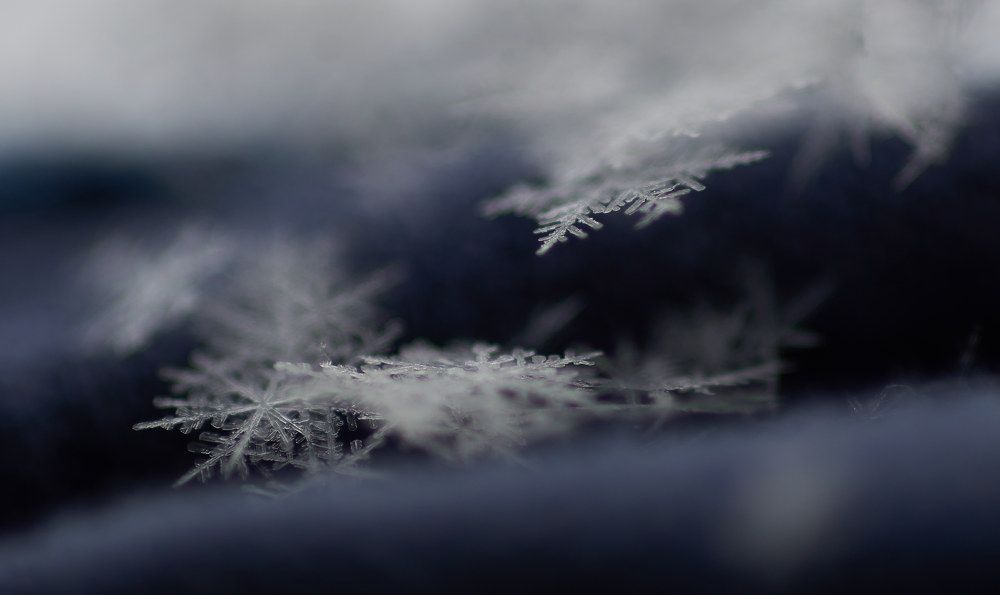 Photograph by Светлана Михайлова