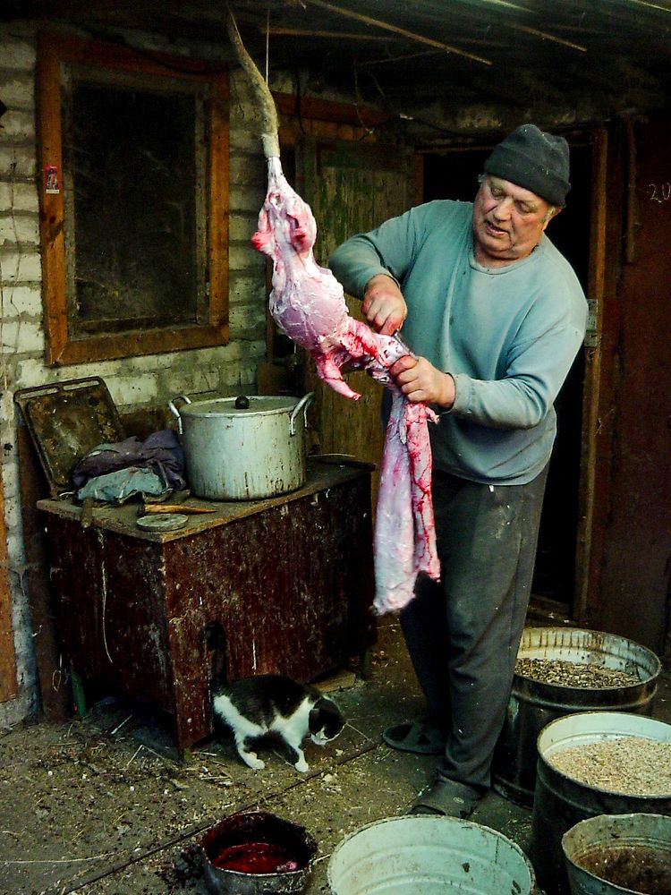 Сегодня была охота. Рыбалка будет завтра .../There was a hunt today. Fishing will be tomorrow ...