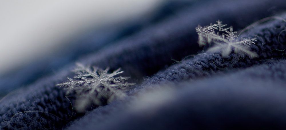 Photograph by Светлана Михайлова