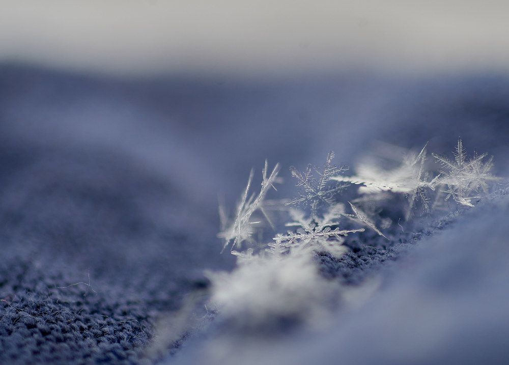 Photograph by Светлана Михайлова