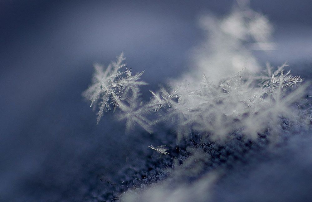 Photograph by Светлана Михайлова