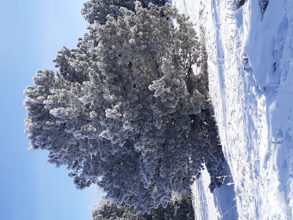 Photo #5662937