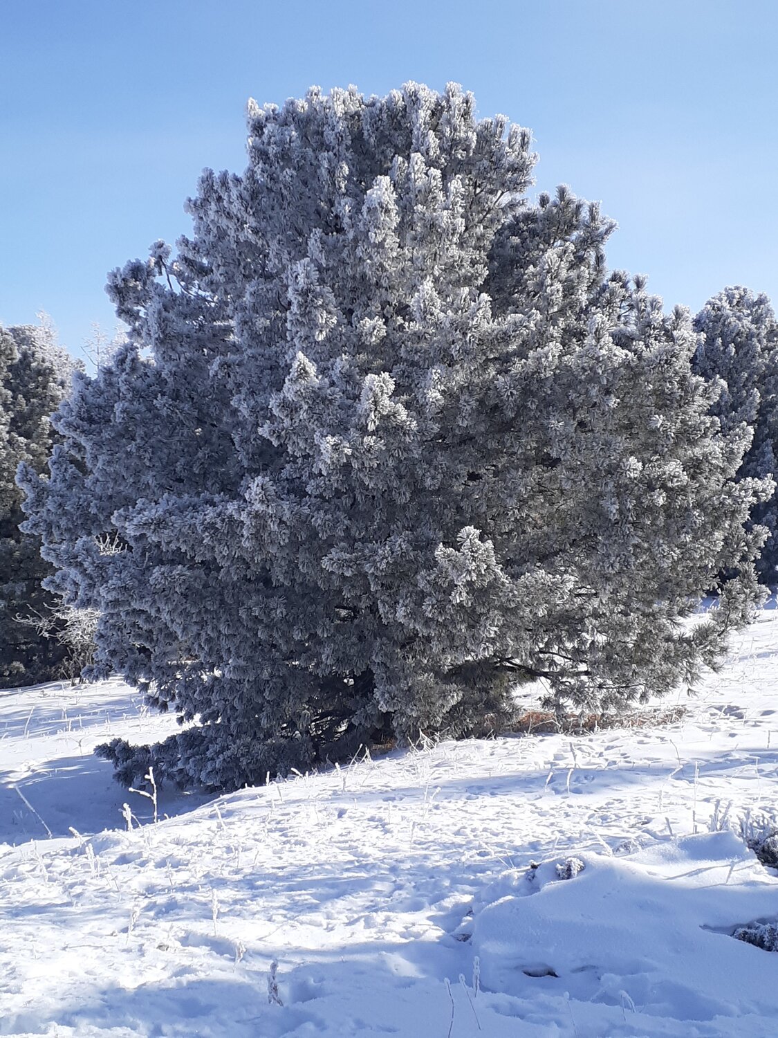 Photo #5662937