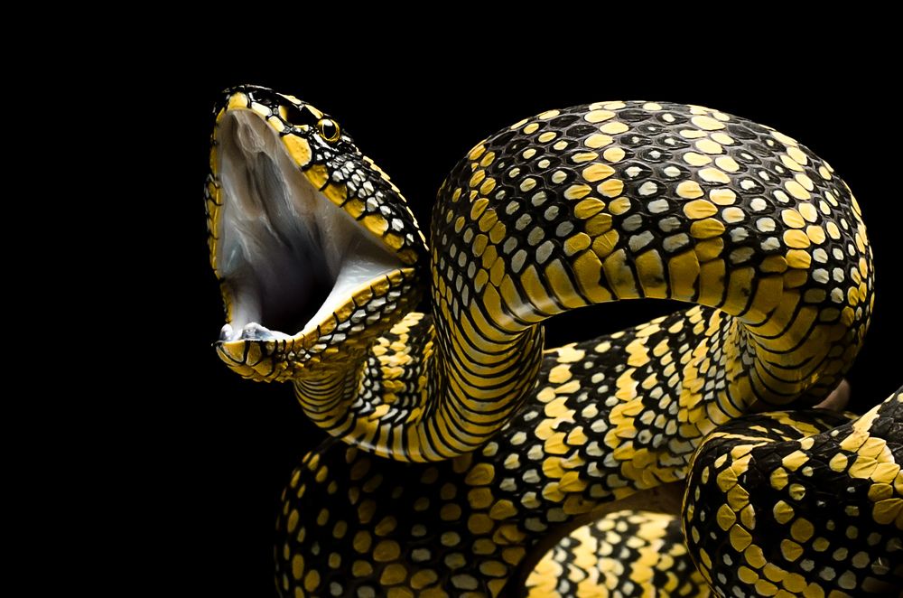 Photograph by Andan Muhammad