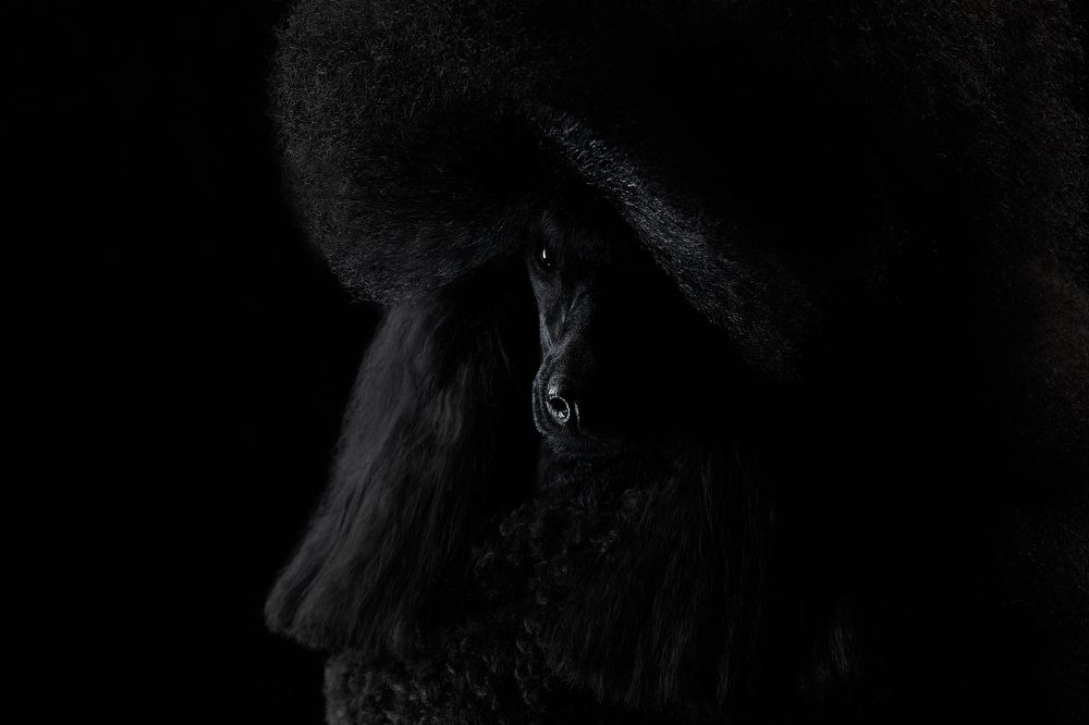 Photograph by Лана Полякова