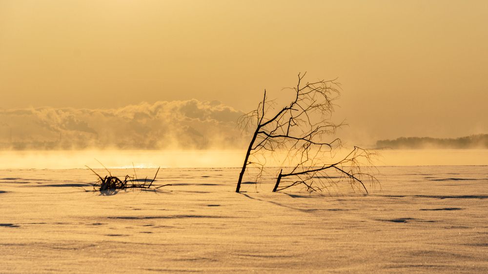 Photograph by Ирина Корпачева