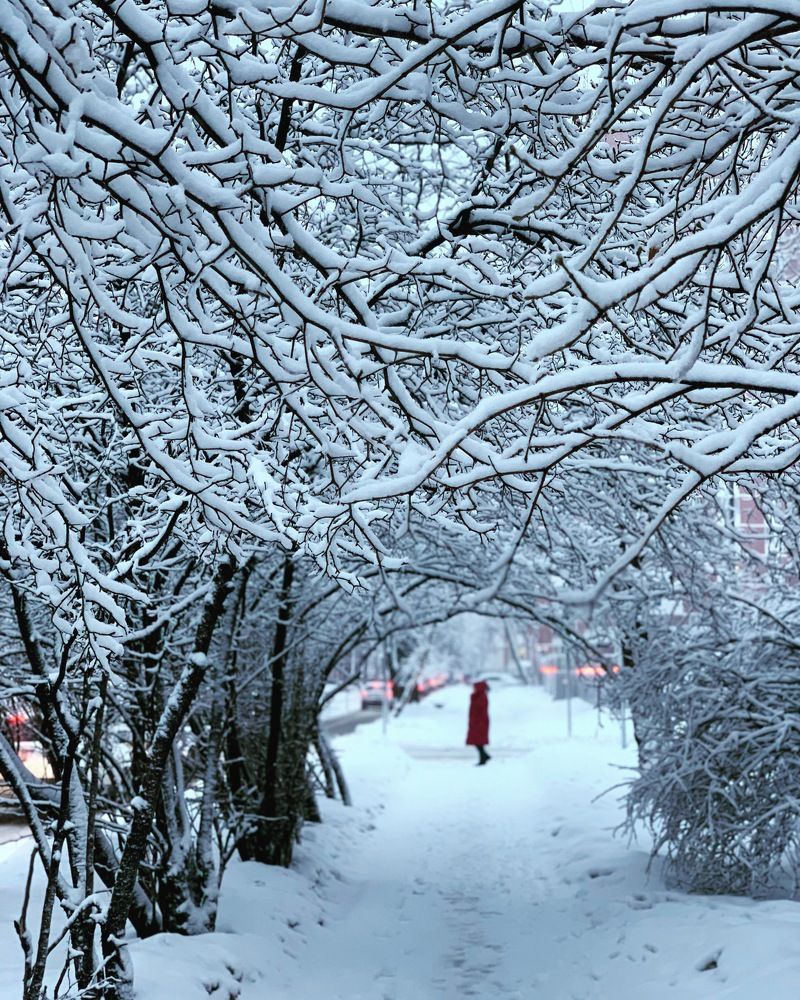 Photograph by Елена Сушкова