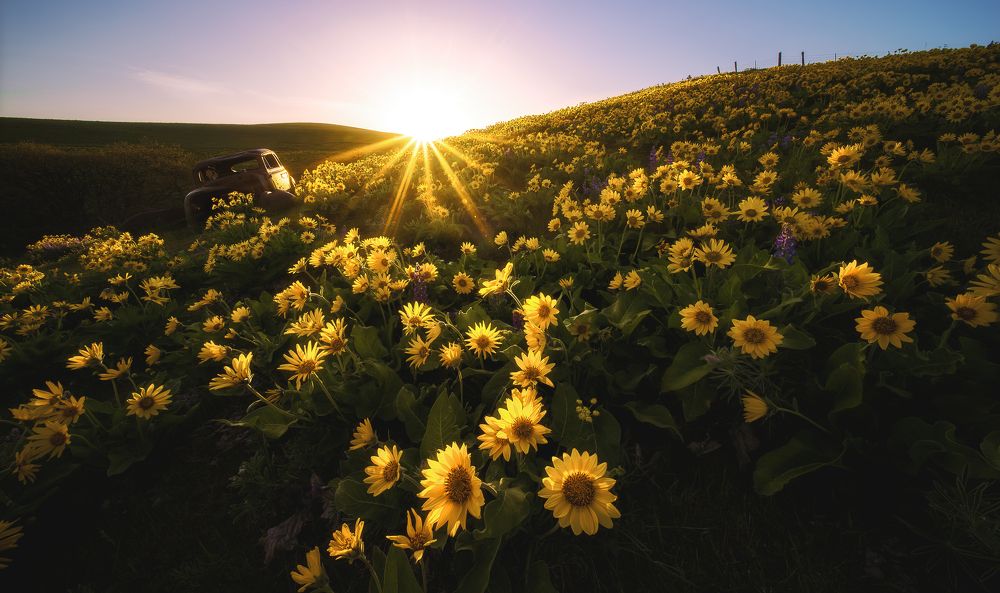 Photograph by 向 征