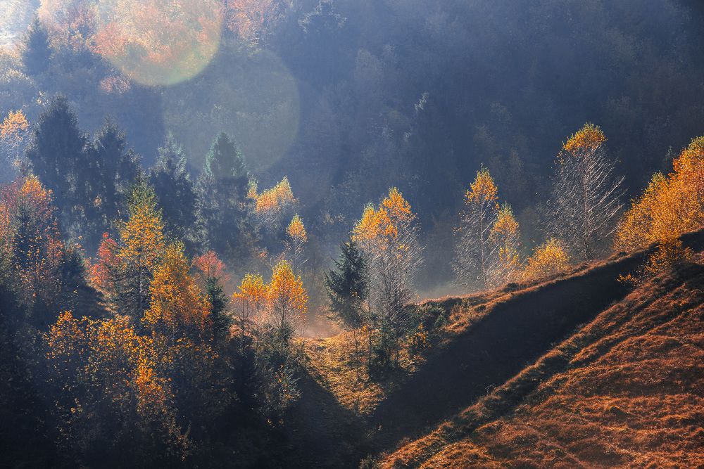 Photograph by Sofiya Hunchyk