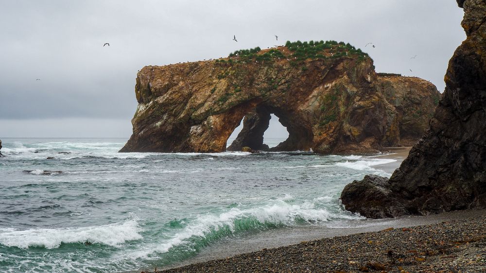Каменное чудовище Охотского моря