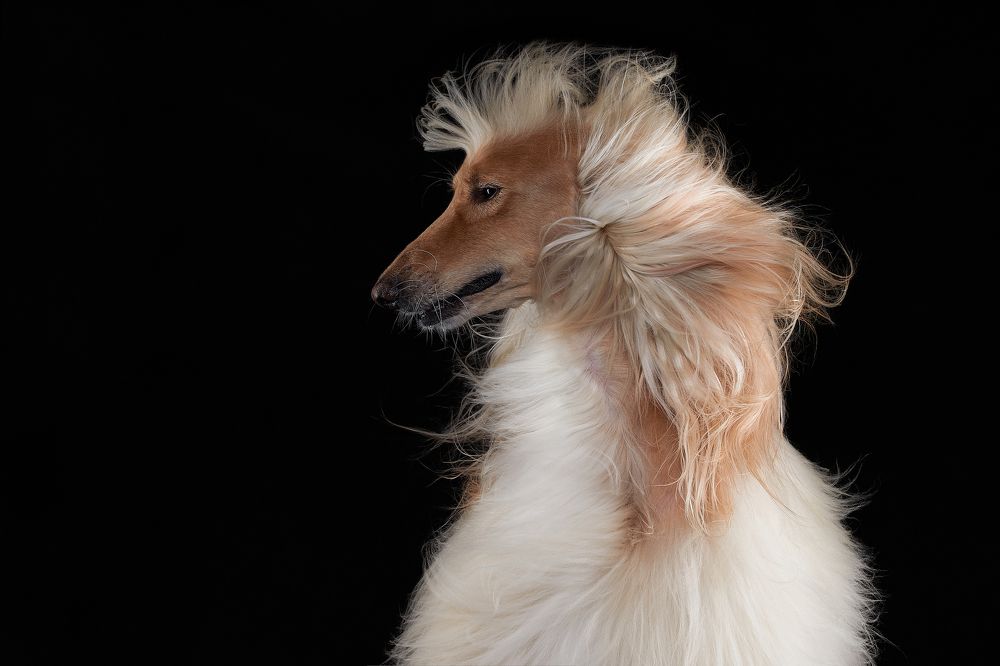 Photograph by Лана Полякова