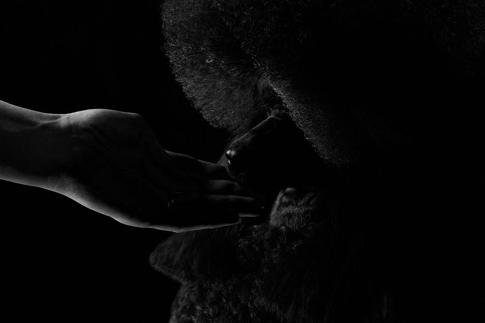 Photograph by Лана Полякова