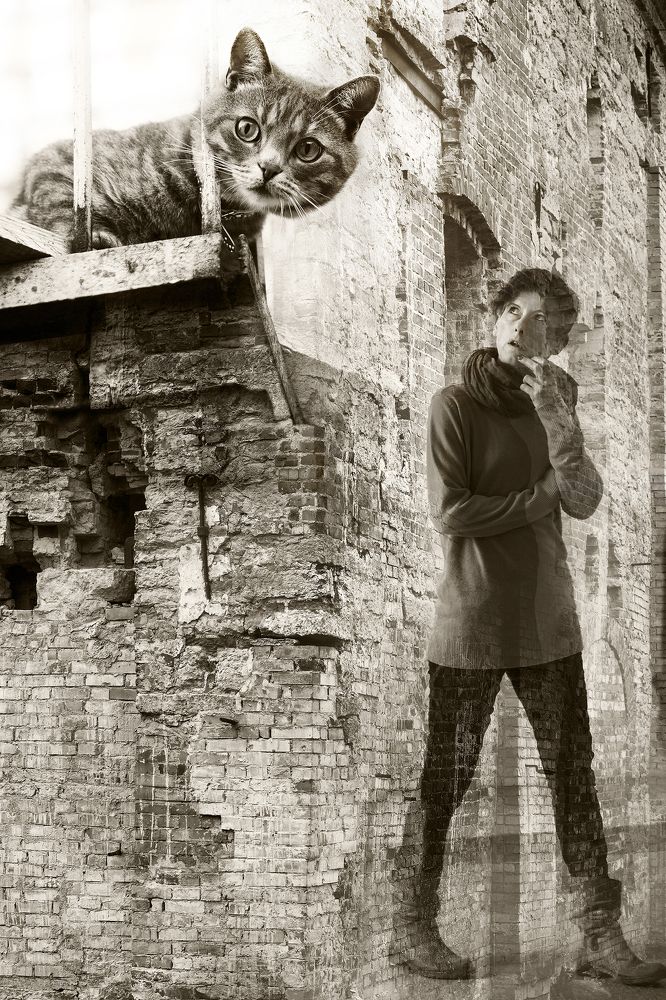 Свет, кошка и женщина.