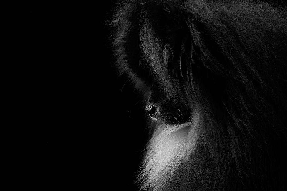 Photograph by Лана Полякова