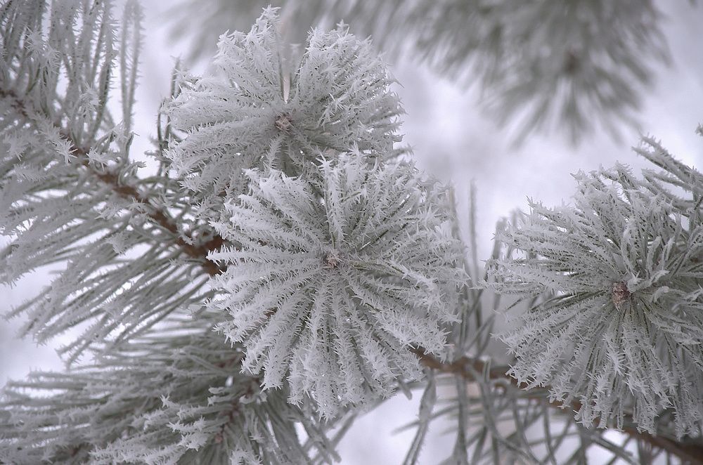 Photograph by Сергей Клапишевский